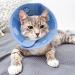YQkangzhu Cat Recovery Collar Dog Cone Collar Soft Adjustable Elizabethan Collars Cones Protective Pet E Collar After Surgery Injuries Breathable Lightweight Collar for Small Pet Kittens Puppy(S) - Buy Online on GoSupps.com