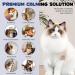 Calming Diffuser for Cats | UK Plug In |Days Starter Kit | Reduce Spraying Scratching and Other Problematic Behaviors | Calming and Relaxing Effect | 1.6fl.oz / 48ml refill | 30 Days Diffuser&Refill - Buy Online on GoSupps.com