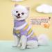 KASESSS 2 Pcs Dog Jumper Winter Dog Jumpers Small Warm Small Dog Jumper Knitted Puppy Jumpers for Small Dogs Puppy Sweater Dog Clothes for Small Dogs Cats Kitten Yorkie Chihuahua(Blue Purple) - Buy Online on GoSupps.com