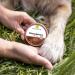 Greenendoor Natural Organic Paws 50ml - Vegan Paw Care for Dogs & Cats | Prevent Cracks & Protect Against Environmental Conditions - Buy Online on GoSupps.com