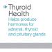 RLC i-Throid 12.5 mg Iodine & Iodide Supplement for Thyroid & Hormone Balance - 90 Capsules - Buy Online on GoSupps.com