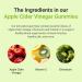 Hey Nutrition Apple Cider Vinegar Gummies - Vitamin C & Chromium - Skin, Metabolic & Immune Support - Non-GMO, Dairy-Free - 60 Vegan Gummies - Buy Online on GoSupps.com