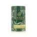 Green Tea - 100g Tin - Th vert Mangue et Moringa - Go t frais et sucr - Id al pour quilibrer le corps et l'esprit - Niveau de caf ine 4 - Portugaise - Produit Gourmet