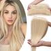 SEGO hair extensions clip in extensions thick 7a 100% real human hair 1 part 5 clips poet hair part remy real hair smooth light blond#613-1 8 "(20cm) -60g