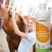 Buy Awiwa Odour Neutraliser & Stain Remover for Dogs and Cats - 10L | Effective Pet Odour Control & Stain Removal | International Shipping Available - Buy Online on GoSupps.com