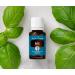 Basil Essential Oil 15ml by Young Living | Soothes Muscles | Vegan Gluten-Free | Aromatherapy & Massage | Calming Aroma Topical Use - Buy Online on GoSupps.com
