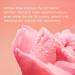 Jurlique Rare Rose Lotion 50ml - Buy the Best International Skincare Online - Buy Online on GoSupps.com