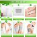 Detox Foot Patches 20 Pcs - Natural Deep Cleansing Pads for Stress Relief & Deep Sleep - Buy Online on GoSupps.com