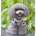 Ranphy Soft Velvet Reindeer Hoodie Sweater for Small Dogs & Cats - Cozy Jumpsuit for Male & Female Puppies - XXL Size (Back: 40cm Chest: 52cm) in Rose - Buy Online on GoSupps.com