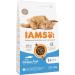 IAMS Dry Cat Food with Fish - Nutritional Formula for Cats Aged 1-6 Years | 3 kg Pack - Buy Online on GoSupps.com