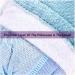 Organic Buckwheat Neck Pillow | Sleep Better & Relieve Neck Pain | Sobakawa Bookstery Pillow - Green - Buy Online on GoSupps.com