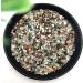 Stone Crafts 50g 1-3mm Natural Mixed Quartz Crystal Stone Rock Gravel Specimen Tank Decor Natural Quartz Crystals ERBRA - Buy Online on GoSupps.com