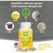 HybridAR Rapid Nasal & Sinus Support - Fast Allergy Relief - Immune Boost Quercetin Butterbur Andrographis - 30 Capsules - Buy Online on GoSupps.com