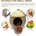 MISS FIRE Coconut Woven Bird House | Natural Coconut Cage with Cover for Parrot, Hamster, Squirrel, Rat, Lovebird, Finches - Buy Online on GoSupps.com