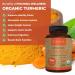 Pomona Wellness Organic Turmeric Supplement 1400mg with Black Pepper | Joint Support, Immunity & Inflammation | USDA Organic, Non-GMO, Vegan | 120 Tablets - Buy Online on GoSupps.com