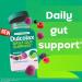 Dulcolax Daily Gut Support Gummies Magnesium Formula Stimulant-Free Berry Flavor 60 Count Mixed Berry 60 Count - Buy Online on GoSupps.com