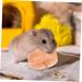 Kisangel Pet Salt Block Hamster Supply Salt Brick for Rabbit Nutrition Hamster Animals Salt Rabbit Salt Brick Salt Blocks Rabbit Licking Salt Safety Rabbit Salt Creative Rabbit Salt - Buy Online on GoSupps.com