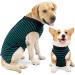 Wound Protective Coat for Dogs & Cats | Abdominal Surgery Vest | Postoperative Medical Clothing for Pets (Size S Green) - Buy Online on GoSupps.com