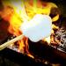 BBQ Marshmallows - Fluffy Fat-Free & Gluten-Free Campfire Treats | 300g with 6 Wooden Skewers for Chocolate Fondue & S'mores - Buy Online on GoSupps.com