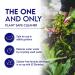 Oasis Biocompatible Dish Soap & All-Purpose Cleaner | 1 Gallon - Grey Water Friendly Sodium-Free Eco-Friendly Formula for Safe Plant Care - Buy Online on GoSupps.com