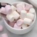 Additions Mini Pink & White Marshmallows - 1x1kg