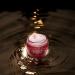 GUERISSON Red Ginseng Cream 2.03 fl. oz. - Hydrating Anti-Aging Facial Cream with Horse Oil & Antioxidants for Glowing Skin - Buy Online on GoSupps.com