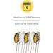 Buy Nano B Gold Crystal Antibacterial Toothbrush - Best International Shipping & Hygiene Protection - Buy Online on GoSupps.com