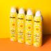Amika The Shield Anti-Humidity Spray 5.3 Fl Oz - Protects Hair from Humidity (Pack of 1) - Buy Online on GoSupps.com