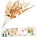 Zerodeko 30 Pcs Eucalyptus Leaves Christmas Tree Ornaments Artificial Eucalyptus Home Decor Green Leaves Artificial Flowers Harvest Eucalyptus Stem Floral Vase False Leaf Wedding Plastic Goldenx3pcs 38X3CMx3pcs - Buy Online on GoSupps.com
