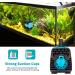 Number-one 130GPH (600L/H) Submersible Pump Small Quiet Water Pump Fountain Pump for Fish Tank Aquarium Statuary Hydroponics(10W 4.9ft Power Cord 2 Nozzles) (130GPH) - Buy Online on GoSupps.com