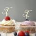 Initial X Cupcake Toppers Single Letter Monogram Name Flower Wreath Romance For Wedding Bridal Shower Party Decorations Reusable Custom Any Initial Birthday Gifts 6PCS Style-14 - Buy Online on GoSupps.com