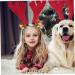 FRCOLOR 3 Pairs Christmas Hair Clips Kid Hair Clips Deer Antler Decor Kids Headband Animal Horns Hair Clip Deer Hair Barrettes Xmas Hair Accessories Antler Hair Decorations Xmas Hairpins - Buy Online on GoSupps.com