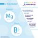 JUVAMINE - Marine Magnesium 300mg + Vitamin B6 - Fatigue - Stress - Nervous Balance - Well-being - Nervous System - 4 Month Format - 120 Tablets - Made in France - Buy Online on GoSupps.com