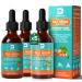 3Pack Sea Moss Drops - Irish Sea Moss Chlorophyll Liquid with Black Seed Oil Ashwagandha Moringa Turmeric Elderberry Mullein Seamoss Gel Supplement for Liver Cleaner Detox & Gut Immune Support Chlorophyll 1 Fl Oz (P