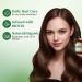NUSPA Natural Rosemary Mint Hair Serum | Biotin-Infused Scalp Moisturizer for Hair Loss Frizz & Damage - Daily Treatment - Buy Online on GoSupps.com