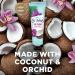 St. Ives Hydrating Hand Cream Variety Pack - Blueberry Avocado Coconut | Travel Size Lotion 1 Fl Oz (Pack of 3) - Buy Online on GoSupps.com