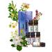 6x10 ml Floral Essential Oils Set Starter Kits for Aromatherapy Diffuser Candle Making Osmanthus Honeysuckle Chamomile Jasmine Marjoram Gardenia