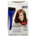 Clairol Nice n Easy Touch Up 006G Light Golden Brown