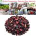 Plant Gift Currant Berries Blueberry Raspberry Tea Bags hibiscus tea bags Roselle Blueberries Grapes Raspberries Into Iced Tea & Hot Tea Oganic Fruit Herbal Tea 70G/2.5oz - Buy Online on GoSupps.com