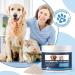 Appetite Stimulant Vitamin B12 Powder for Cats&Dogs Methylcobalamin Supplement with Folate and Intrinsic Factor Treatment of EPI in Pets Supports Energy Red Blood Cell Formation Nervous System 60g - Buy Online on GoSupps.com