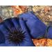 EXCEREY Swimming Webbed Gloves - Aquatic Fitness Paddles for Men and Women - Blue - Buy Online on GoSupps.com
