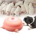 oADANNUo Puppy Feeders for Multiple Puppies , Puppy Kitten Milk Feeder Bowl , Puppy Bottles for Nursing Supplies Puppy Feeder-4