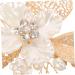 FOMIYES Gold Leaf Side Comb Hair Accessories for Bride Women Hair Pin Vintage Hair Accessories Hair Side Comb Leaf Hair Accessories Hair Accessories for Girl Headpieces for Wedding - Buy Online on GoSupps.com
