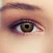 Shop Design Lenses: Natural Hazel Brown Contact Lenses 3-Month Wear Free Case | International Shipping - Buy Online on GoSupps.com