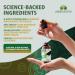 Liver Support NAC 360 Defense Liquid Liver Health with NAC Milk Thistle Dandelion Chicory Turmeric Chanca Piedra Beet Root & Zinc Supports Liver Detox Cleanse & Cellular Health 4 Fl Oz 4 fl.Oz - Buy Online on GoSupps.com