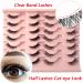 Heracks 14 Pairs Half Lashes Natural Look Cat-Eye Wispy Fluffy False Eyelashes - Reusable DIY Pack (HFS38+HFS62) - Buy Online on GoSupps.com