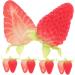 Alipis 20 Pcs Simulated Strawberry Model Home Decor Fruit Lifelike Strawberry Model Strawberry Decor Artificial Strawberry Model Artificial Strawberry Ornament Household Avocado Pvc As Shownx2pcs 3.80X2.50X1.50CMx2pcs - Buy Online on GoSupps.com