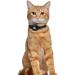 Oopsdoggy Leather Airtag Cat Collar with Bells - Durable GPS Pet Collar for Cats & Small Dogs (Black) - Buy Online on GoSupps.com