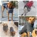 Slowton Winter Coat for Dogs - Waterproof Windproof Fleece Jacket with Turtleneck Scarf | Warm Gray Puppy Vest (S) - Shop Internationally! - Buy Online on GoSupps.com