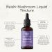 Love Mushrooms Reishi Liquid Drops 50 000mg Mushroom Supplement to Support Essential Balance Organic & Vegan 1 x 50ml Dropper Bottle - Buy Online on GoSupps.com